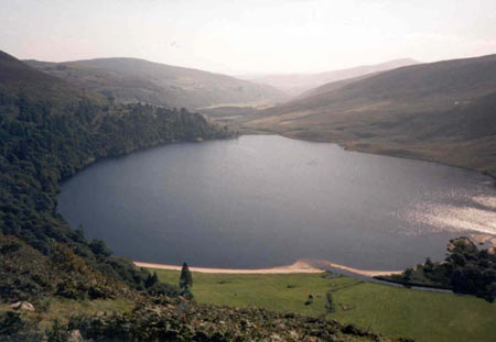 Avoca