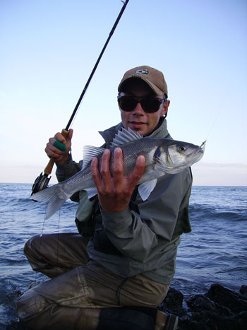 Two fine bass. Copyright Jim Hendrick,